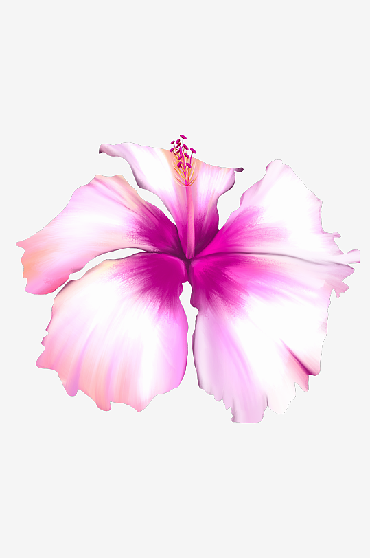 唯美水彩花卉免抠素材-众图网