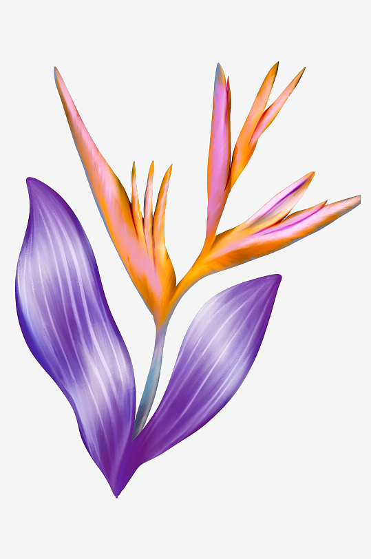 唯美水彩花卉免抠素材-众图网