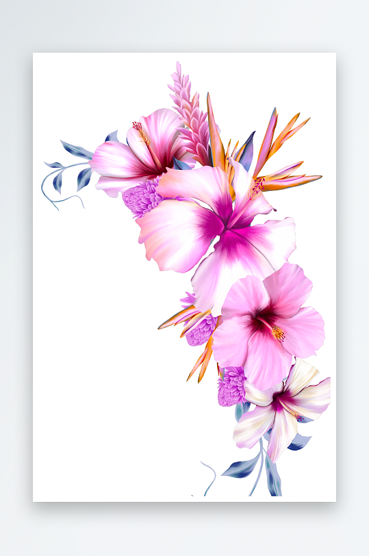 唯美水彩花卉免抠图-众图网