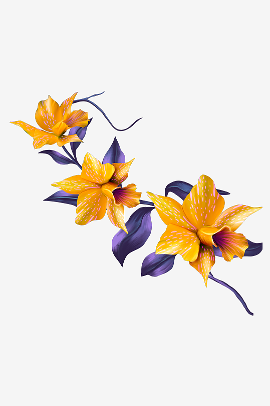 唯美水彩花卉免抠图-众图网