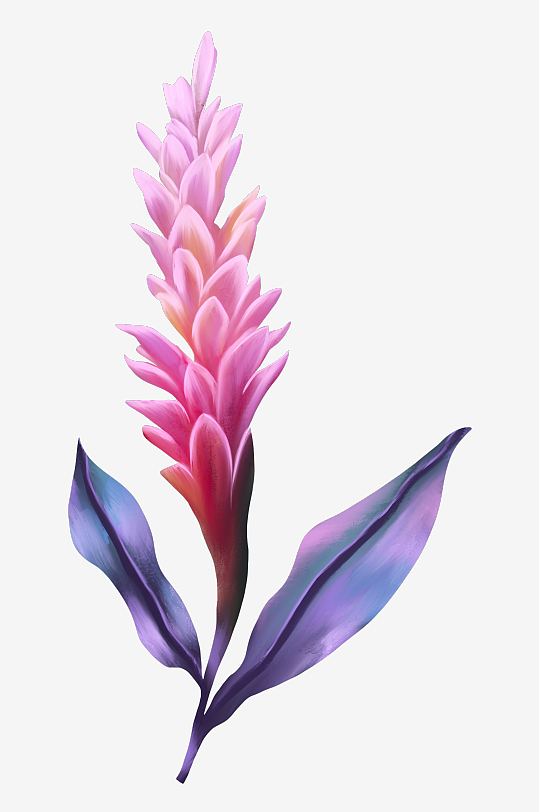 唯美水彩花卉免抠图-众图网