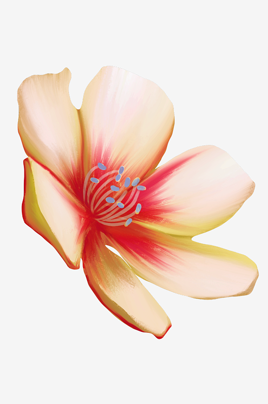 唯美水彩花卉免抠图-众图网