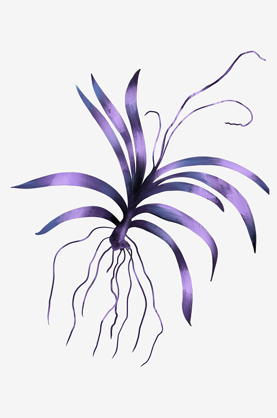 水彩花卉植物免抠素材-众图网