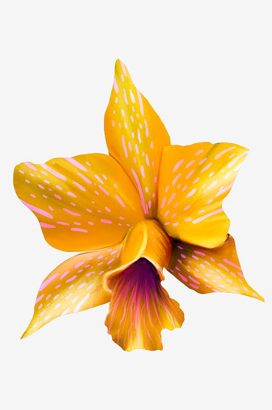 水彩花卉植物免抠素材-众图网