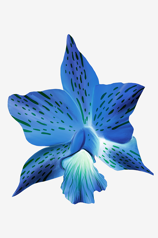 水彩花卉植物免抠素材-众图网