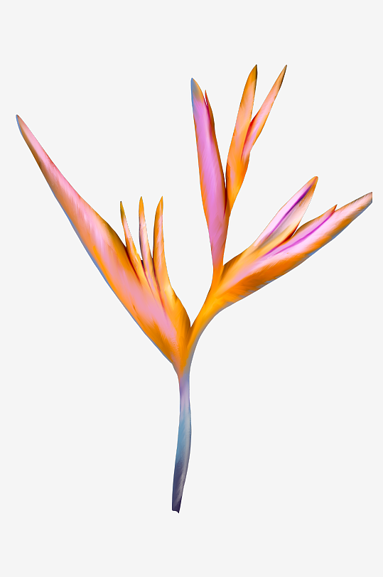 水彩花卉植物免抠素材-众图网