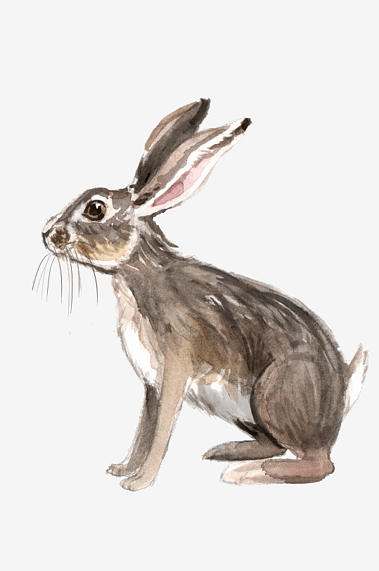 水彩兔子免抠素材-众图网