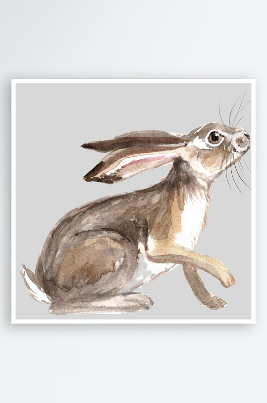 水彩兔子免抠素材-众图网