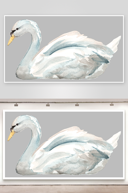 水彩手绘天鹅免抠素材-众图网