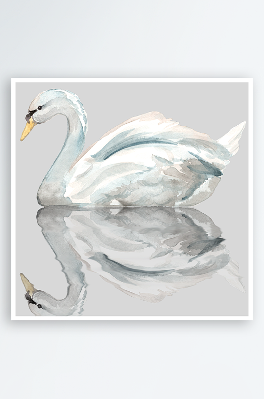 水彩手绘天鹅免抠素材-众图网