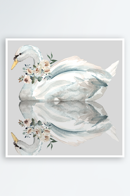 水彩手绘天鹅免抠素材-众图网