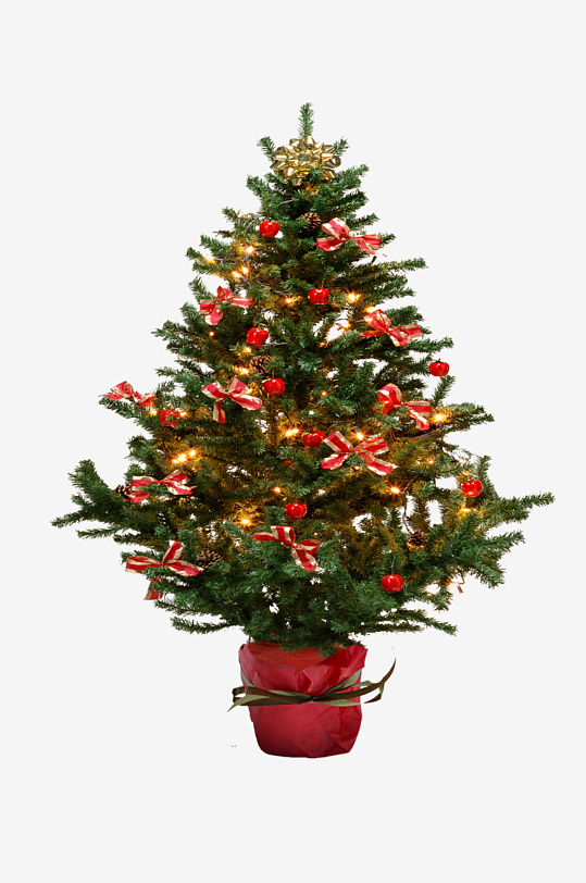 圣诞冷杉树免抠素材-众图网