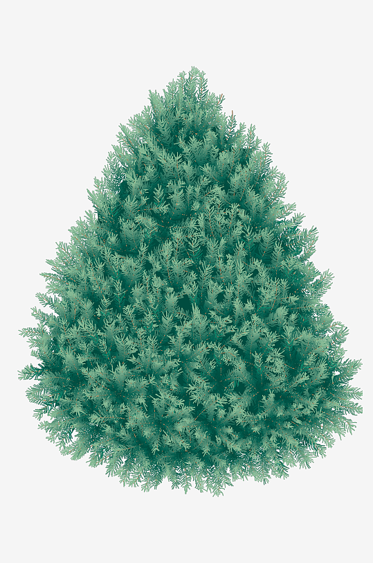 圣诞冷杉树免抠图-众图网