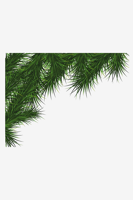 圣诞冷杉树免抠图-众图网