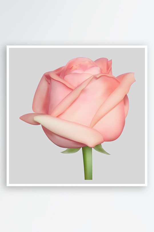 玫瑰花卉元素免抠素材-众图网