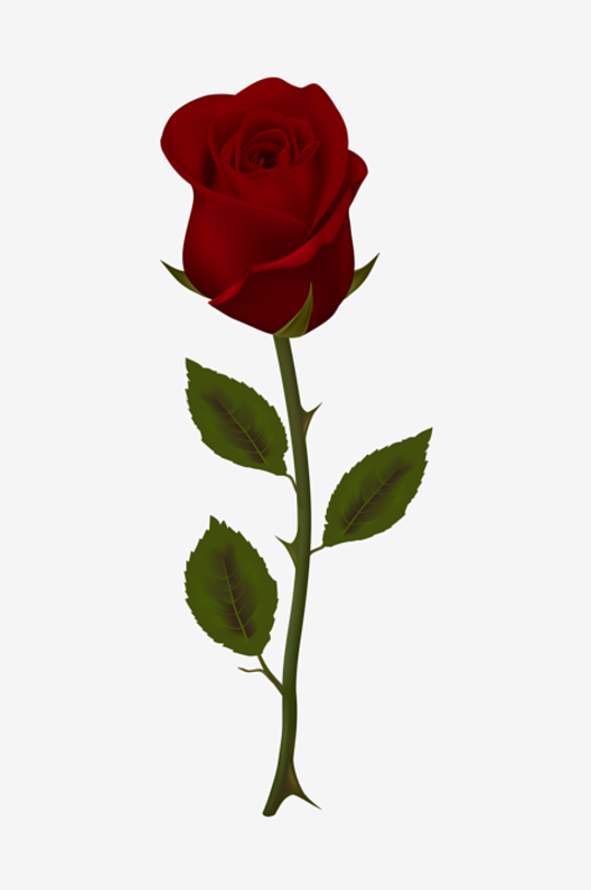 玫瑰花卉元素免抠素材-众图网