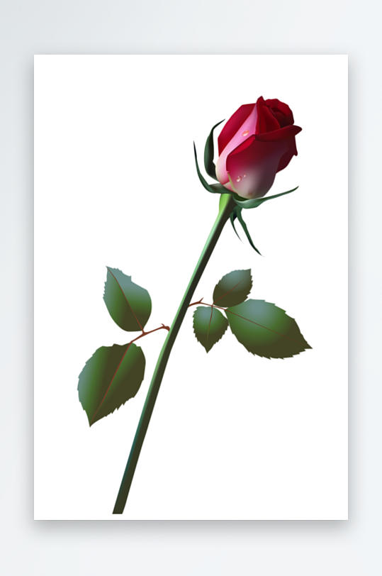 玫瑰花卉元素免抠素材-众图网