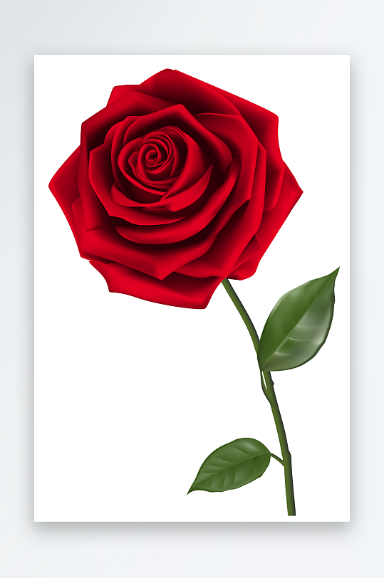 玫瑰花卉元素免抠素材-众图网