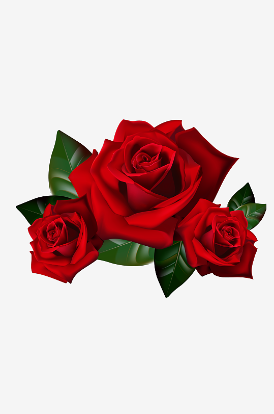 玫瑰花卉元素免抠素材-众图网