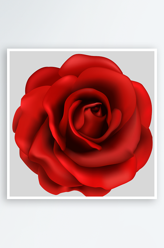 玫瑰花卉元素免抠素材-众图网