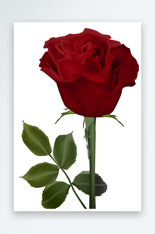 唯美玫瑰花卉元素免抠素材-众图网