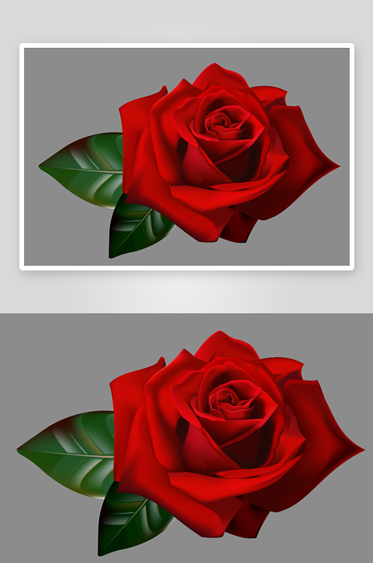 唯美玫瑰花卉元素免抠素材-众图网