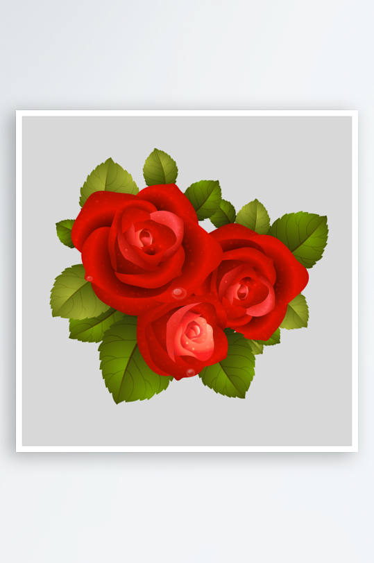 唯美玫瑰花卉元素免抠素材-众图网