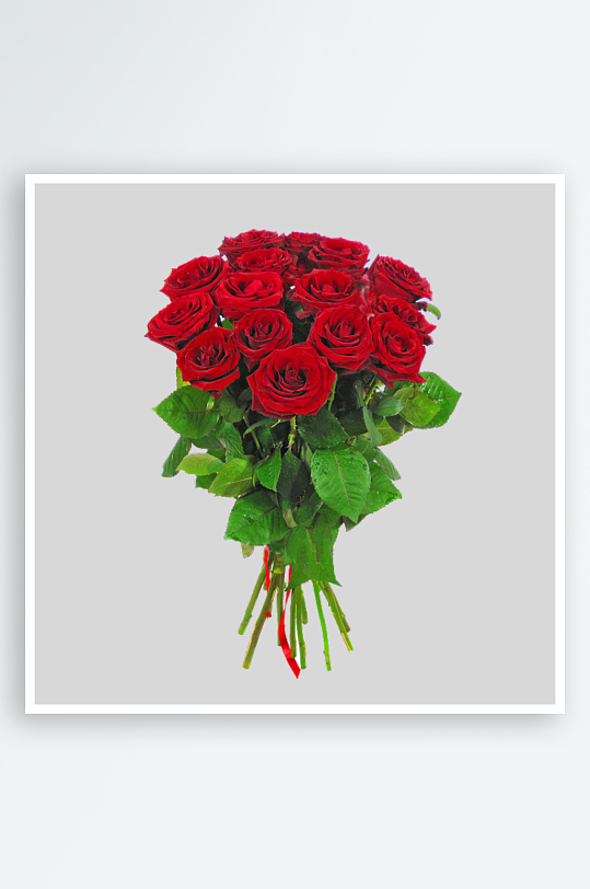 唯美玫瑰花卉元素免抠素材-众图网