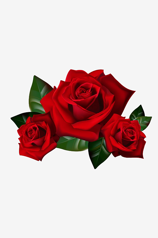 唯美玫瑰花卉元素免抠素材-众图网