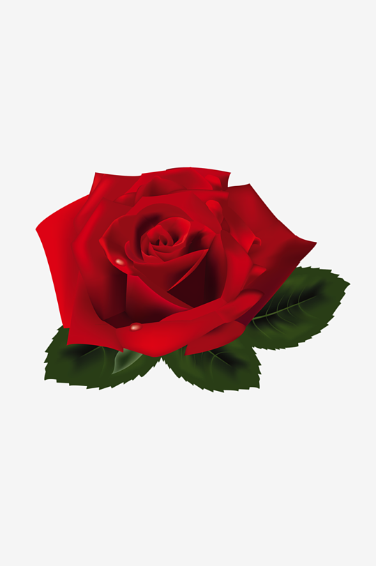 唯美玫瑰花卉元素免抠素材-众图网