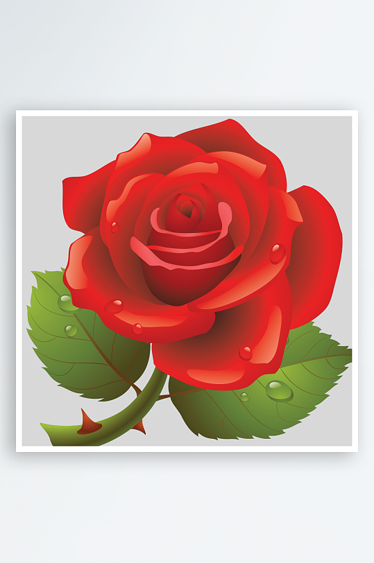 唯美玫瑰花卉元素免抠素材-众图网
