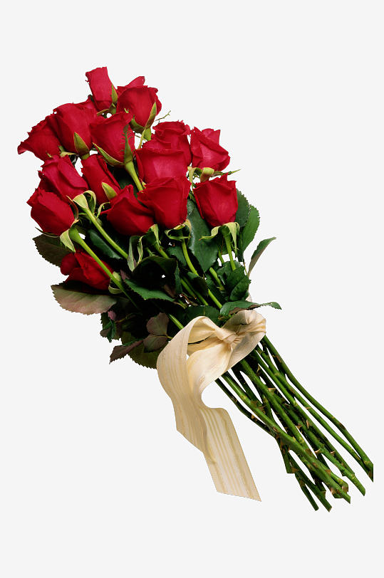 唯美玫瑰花卉免抠图-众图网