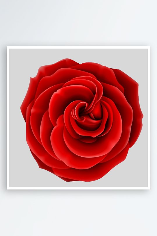 唯美玫瑰花卉免抠图-众图网