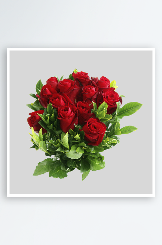 唯美玫瑰花卉免抠图-众图网