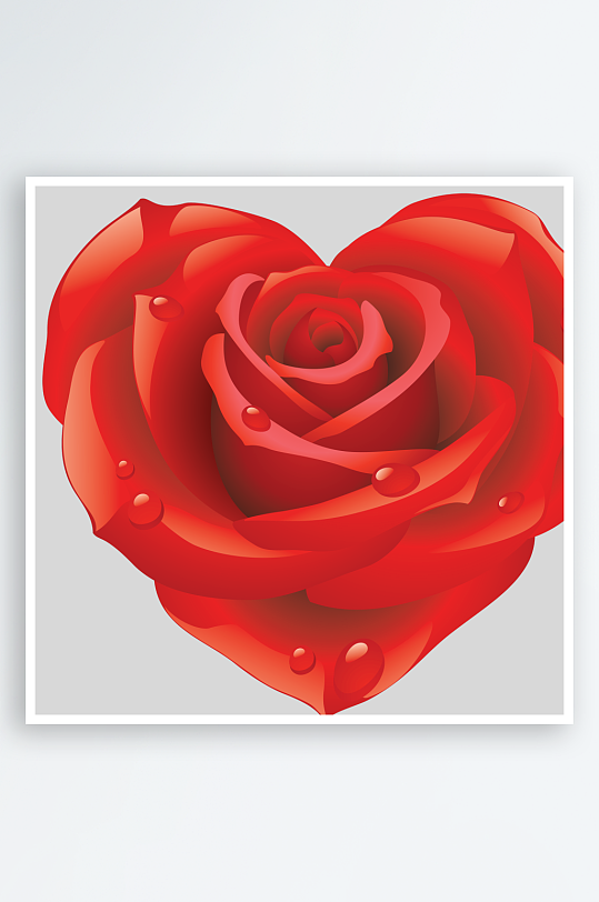 唯美玫瑰花卉免抠图-众图网