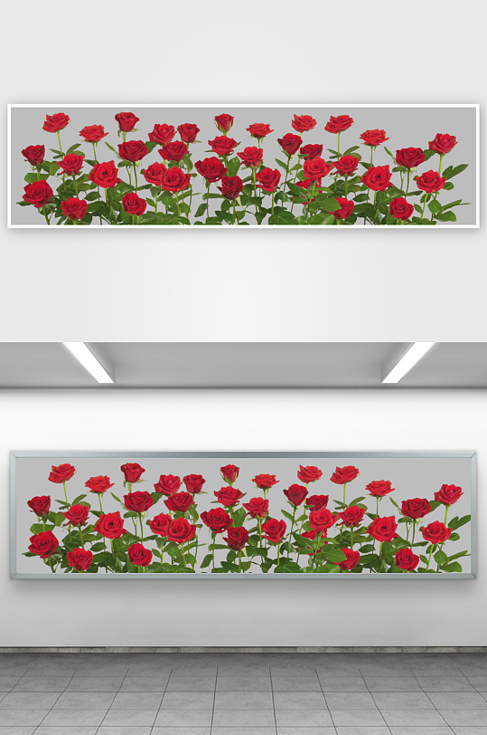 唯美玫瑰花卉免抠图-众图网