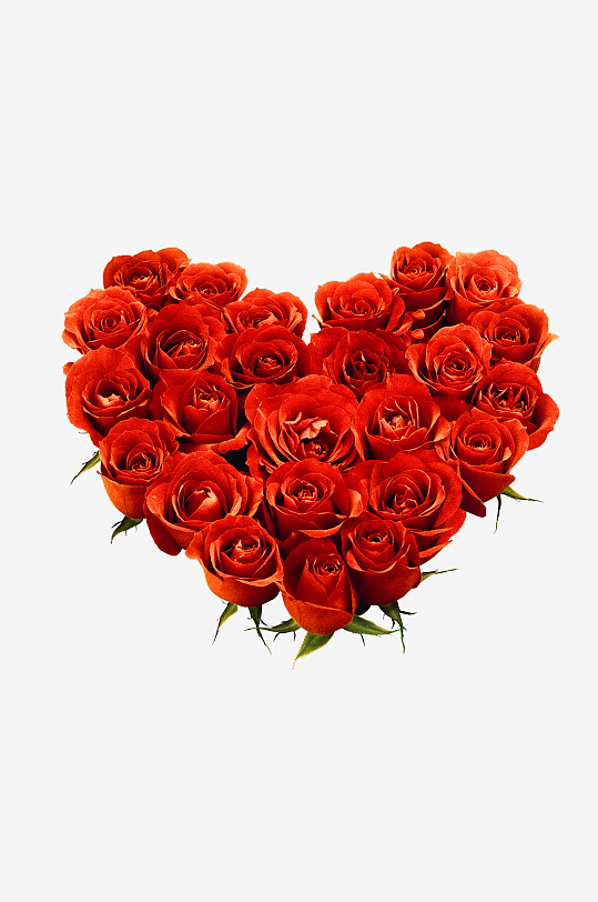 唯美玫瑰花卉免抠图-众图网