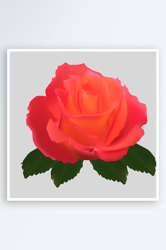 唯美玫瑰花卉免抠素材-众图网