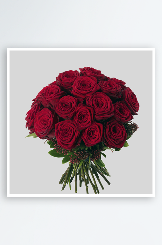 唯美玫瑰花卉免抠素材-众图网