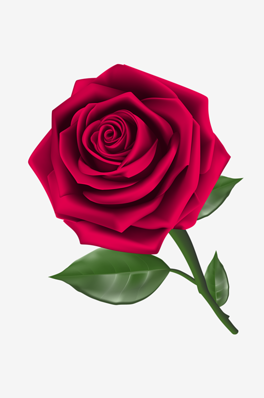 唯美玫瑰花卉免抠素材-众图网