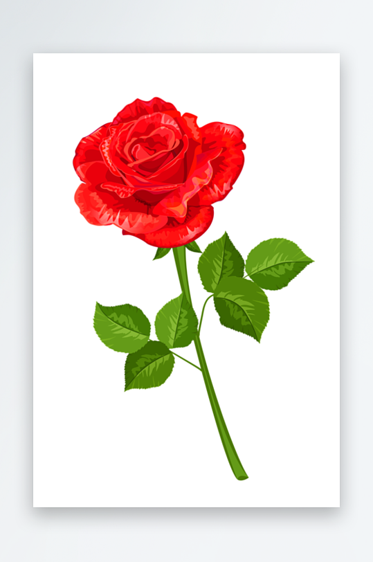 玫瑰花卉免抠素材-众图网