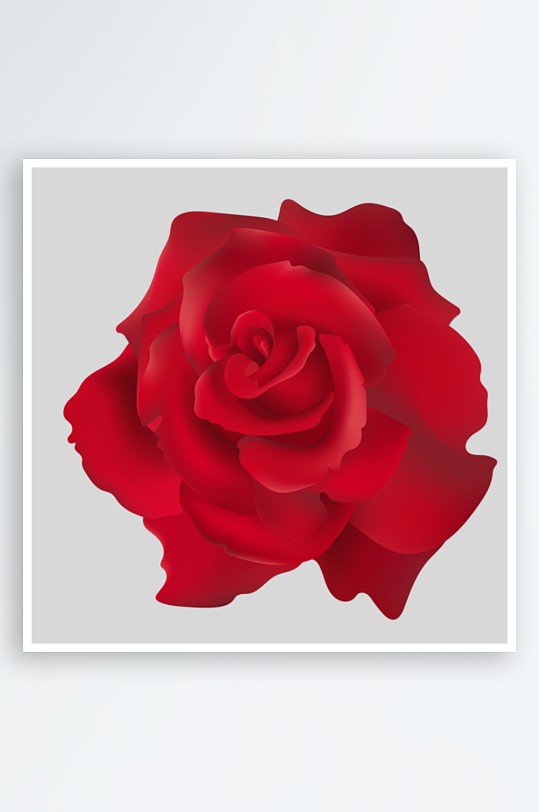 唯美玫瑰花卉免抠素材-众图网