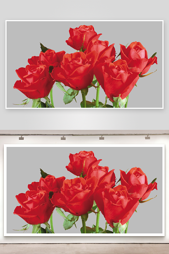 唯美玫瑰花卉免抠图-众图网