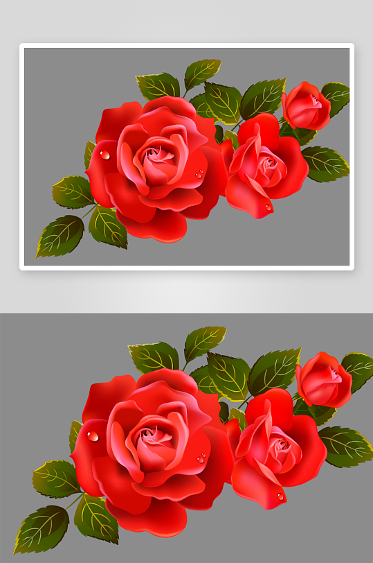 唯美玫瑰花卉免抠图-众图网