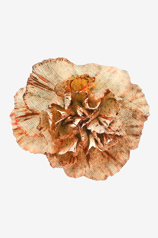 唯美水彩花卉花朵插画素材-众图网