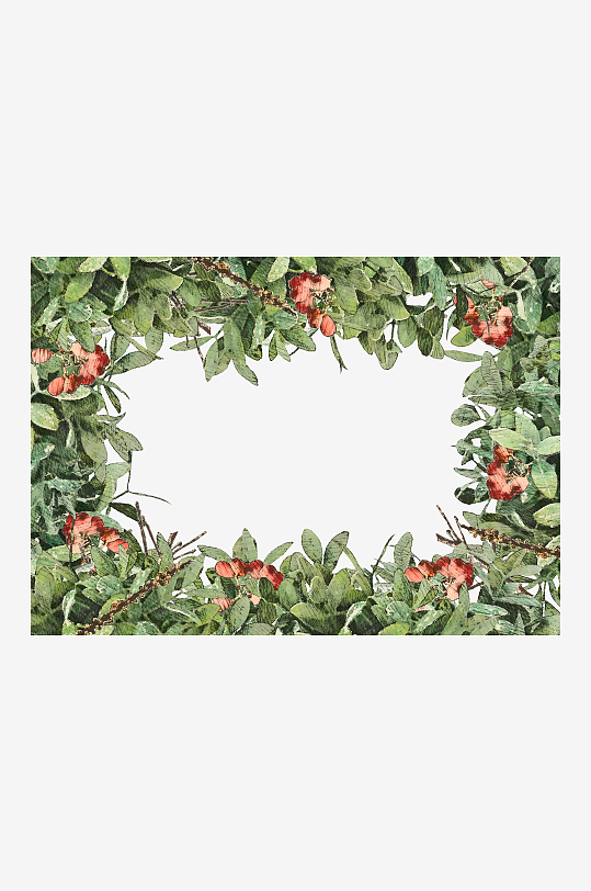 唯美水彩圣诞植物树叶免抠素材-众图网