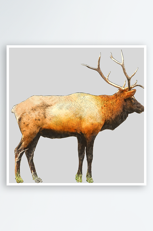 唯美水彩麋鹿免抠素材-众图网