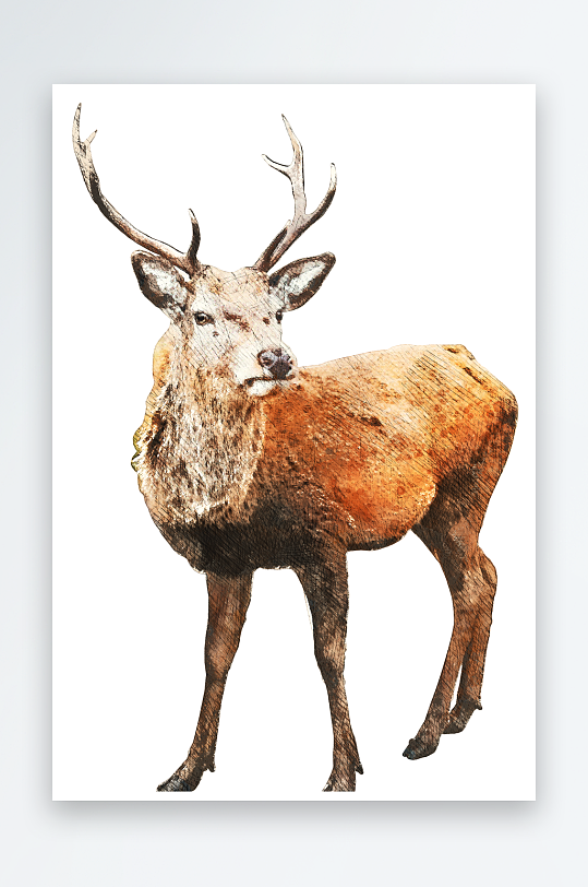 唯美水彩麋鹿免抠素材-众图网