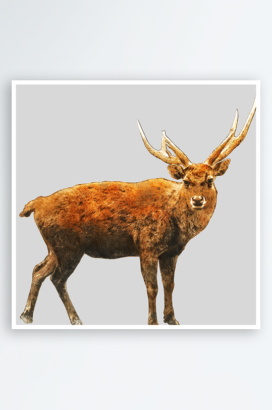 唯美水彩麋鹿免抠素材-众图网