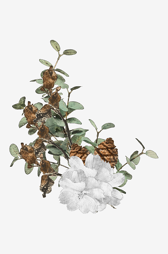 唯美水彩圣诞植物树叶免抠素材-众图网